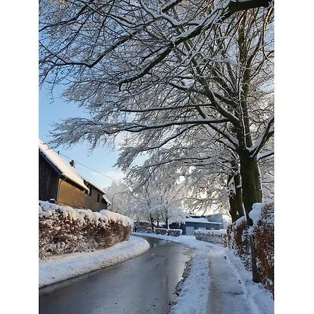 Eifel Oasis Comfortable