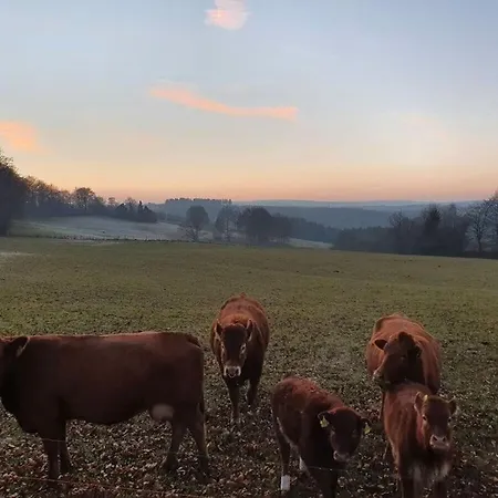 Eifel Oasis Comfortable * Monschau